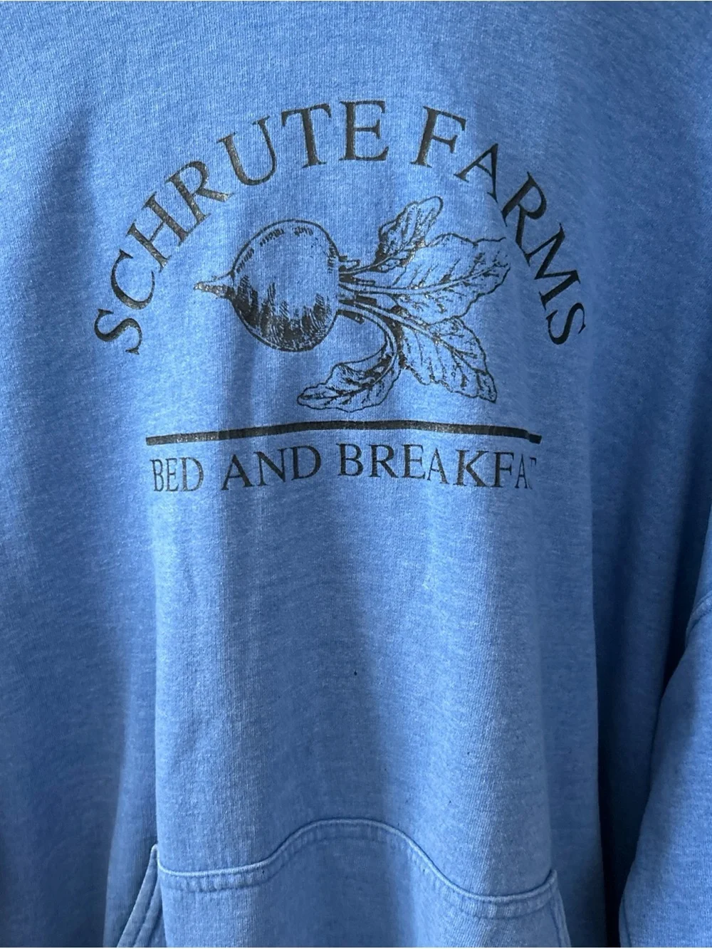 Gildan Blue Schrute Farms Bed and Breakfast Hoodie